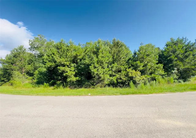 Photo 2 of Land for sale at 971 County Rd 3415, Cleveland, TX 77327 | MLS# 83121839 | Listing updated on 2026-06-12