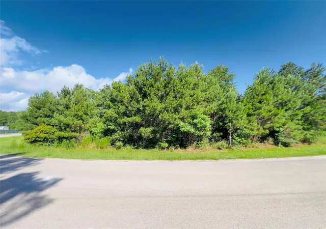 Photo 3 of Land for sale at 971 County Rd 3415, Cleveland, TX 77327 | MLS# 83121839 | Listing updated on 2026-06-12