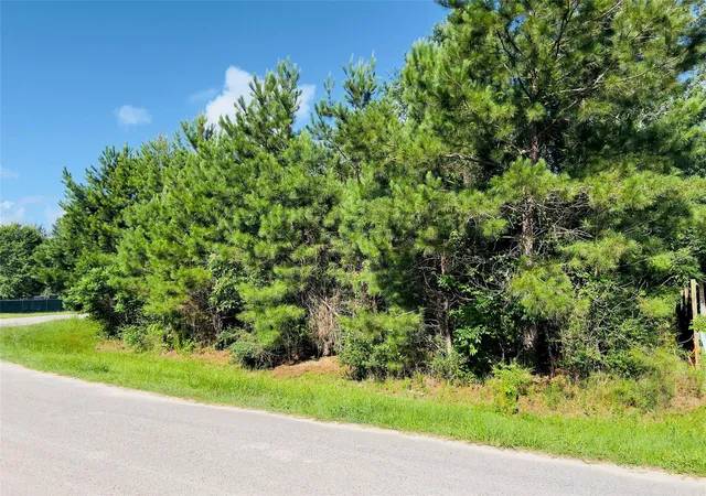 Photo 3 of Land for sale at 971 County Rd 3415, Cleveland, TX 77327 | MLS# 83121839 | Listing updated on 2026-06-12