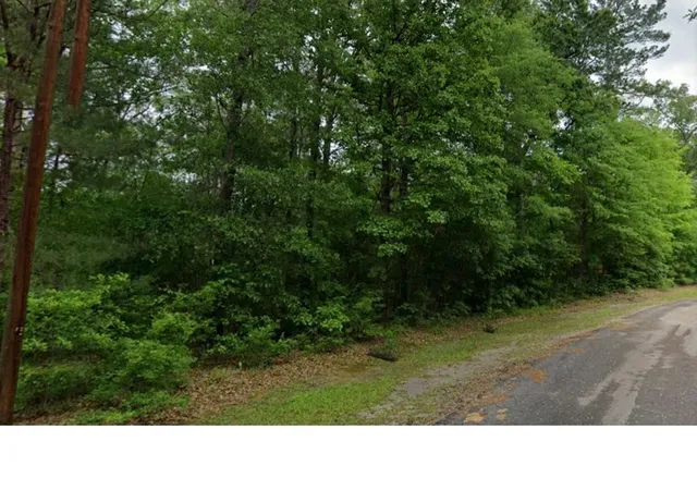 Homes for sale in Jasper, TX | 000 County Road 071, Jasper, TX 75951 | MLS# 80009283