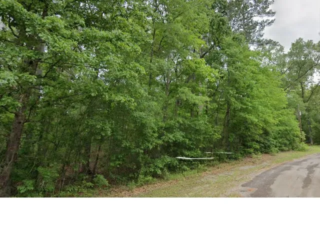 Homes for sale in Jasper, TX | 000 County Road 071, Jasper, TX 75951 | MLS# 80009283