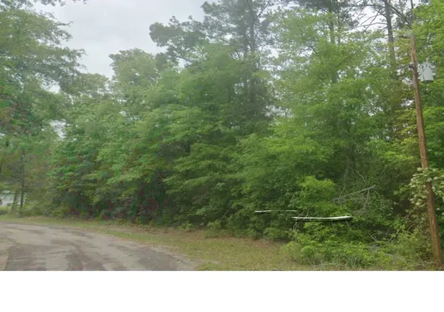 Homes for sale in Jasper, TX | 000 County Road 071, Jasper, TX 75951 | MLS# 80009283