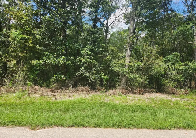 Land for sale at Tbd Idlewood Rdwy, New Caney, TX 77357 | MLS# 91314035 | Listing updated on 2026-03-30