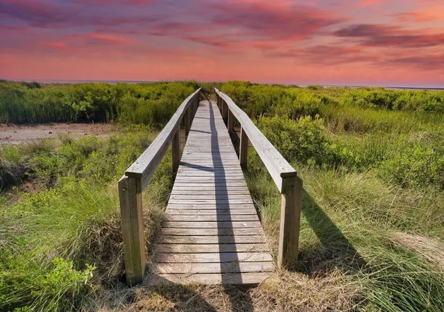 Photo 1 of Land for sale at 1924 County Rd 230, Bay City, TX 77414 | MLS# 68190876 | Listing updated on 2026-09-01