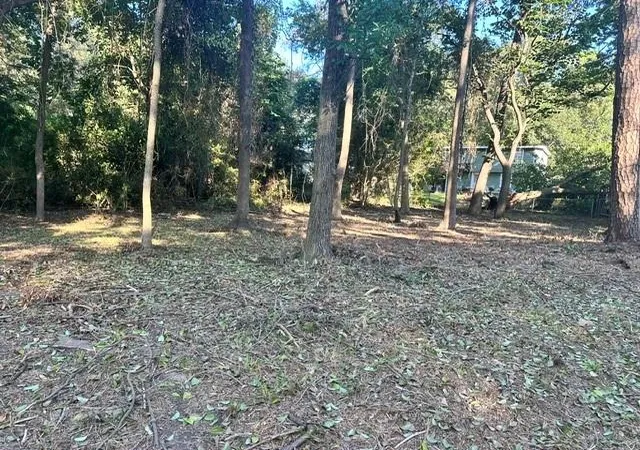 Photo 2 of Land for sale at 00 Kickapoo Trl, Willis, TX 77378 | MLS# 74578891 | Listing updated on 2026-03-23