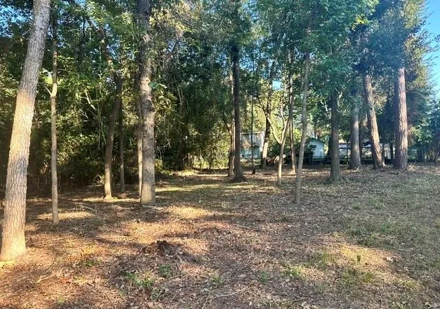 Photo 2 of Land for sale at 00 Kickapoo Trl, Willis, TX 77378 | MLS# 74578891 | Listing updated on 2026-03-23