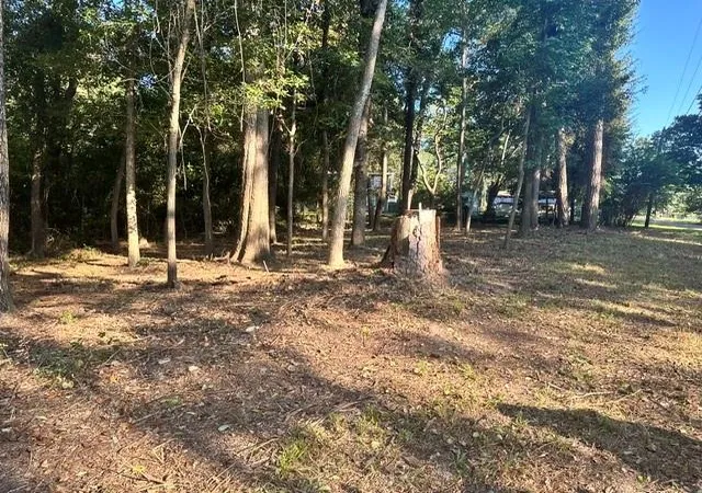 Photo 3 of Land for sale at 00 Kickapoo Trl, Willis, TX 77378 | MLS# 74578891 | Listing updated on 2026-03-23