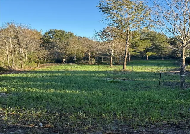 Homes for sale in Lovelady, TX | 9695 County Rd 3555, Lovelady, TX 75851 | MLS# 66627769
