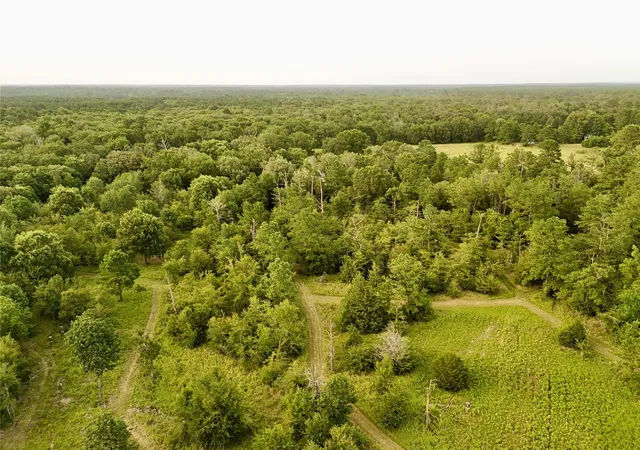 Homes for sale in Lovelady, TX | 9695 County Rd 3555, Lovelady, TX 75851 | MLS# 66627769