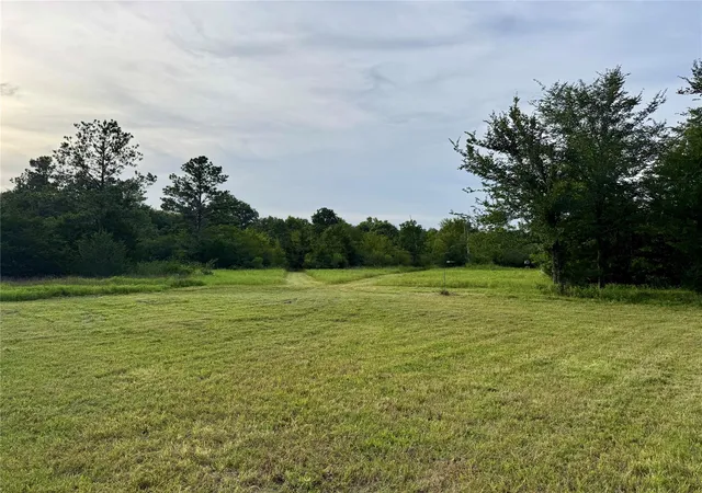 Homes for sale in Lovelady, TX | 9695 County Rd 3555, Lovelady, TX 75851 | MLS# 66627769