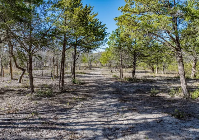 Photo 3 of Land for sale at Tbd Bauer Rummel Rd, Round Top, TX 78954 | MLS# 6291497 | Listing updated on 2026-08-31