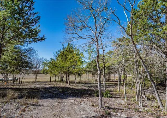 Photo 3 of Land for sale at Tbd Bauer Rummel Rd, Round Top, TX 78954 | MLS# 6291497 | Listing updated on 2026-08-31