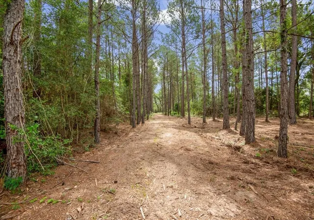 Photo 1 of Sale Pending at Tbd Lot 3 County Rd 302, Plantersville, TX 77363 | MLS# 61338082 | Listing updated on 2026-08-28