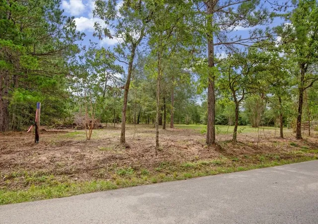 Photo 2 of Sale Pending at Tbd Lot 3 County Rd 302, Plantersville, TX 77363 | MLS# 61338082 | Listing updated on 2026-08-28
