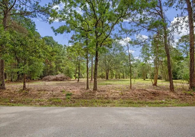 Photo 4 of Sale Pending at Tbd Lot 3 County Rd 302, Plantersville, TX 77363 | MLS# 61338082 | Listing updated on 2026-08-28