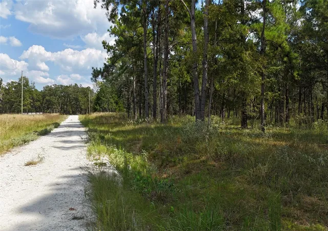 12th image of Tbd Cherokee Trail, Lovelady, TX 77851 | MLS# 29778044