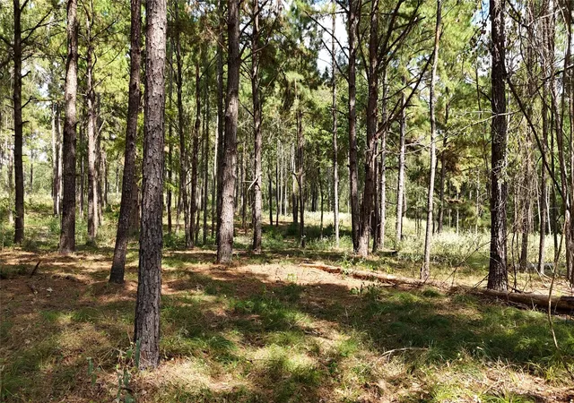 1st image of Tbd Cherokee Trail, Lovelady, TX 77851 | MLS# 29778044