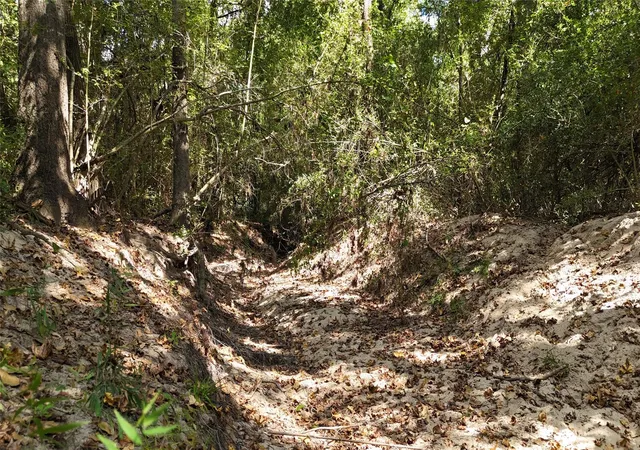 5th image of Tbd Cherokee Trail, Lovelady, TX 77851 | MLS# 29778044
