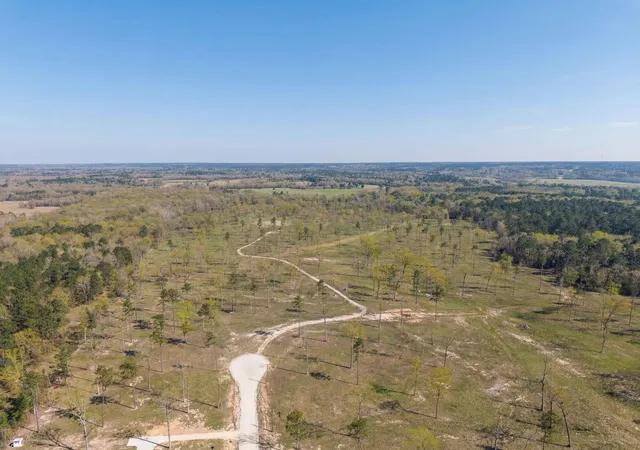 2nd image of Lot 7 Johnson Dr, Livingston, TX 77351 | MLS# 10028378