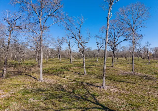 4th image of Lot 7 Johnson Dr, Livingston, TX 77351 | MLS# 10028378