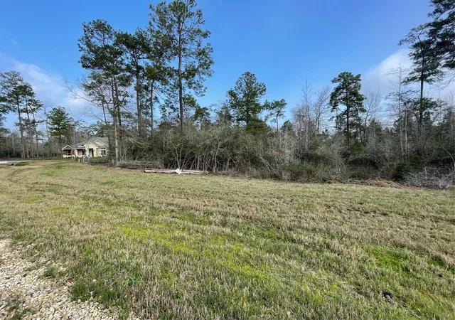 Homes for sale in New Waverly, TX | 122 Signal Rd, New Waverly, TX 77358 | MLS# 11491150
