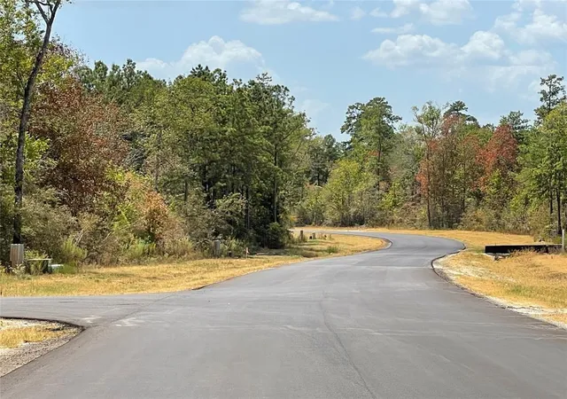 Homes for sale in New Waverly, TX | 122 Signal Rd, New Waverly, TX 77358 | MLS# 11491150