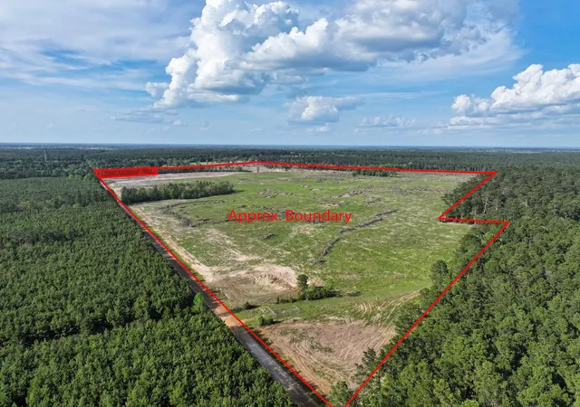 Homes for sale in Groveton, TX | 9770 N State Hwy 94, Groveton, TX 75845 | MLS# 9211047