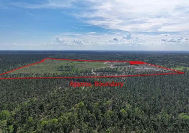 Homes for sale in Groveton, TX | 9770 N State Hwy 94, Groveton, TX 75845 | MLS# 9211047