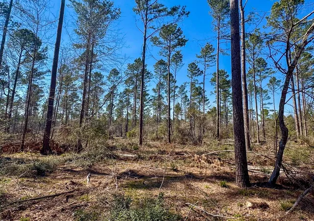 Land for sale at 01 Boontown Rd, Trinity, TX 75845 | MLS# 80321398
