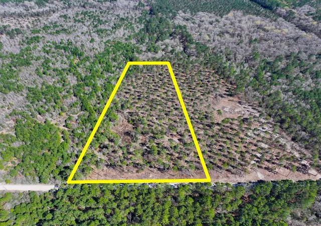 Photo 2 of Land for sale at 01 Boontown Rd, Trinity, TX 75845 | MLS# 80321398 | Listing updated on 2026-07-29