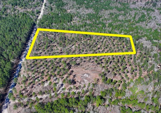 Photo 3 of Land for sale at 01 Boontown Rd, Trinity, TX 75845 | MLS# 80321398 | Listing updated on 2026-07-29