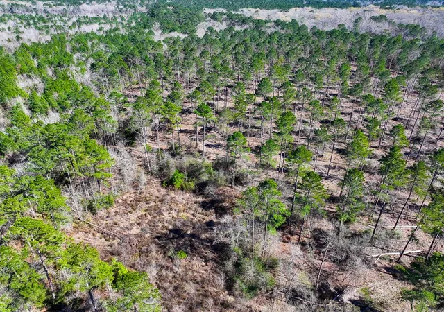 Photo 4 of Land for sale at 01 Boontown Rd, Trinity, TX 75845 | MLS# 80321398 | Listing updated on 2026-07-29
