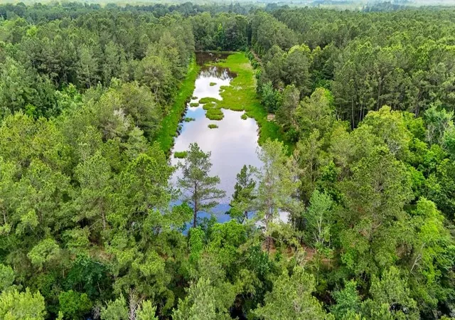 Homes for sale in Kirbyville, TX | Tbd Private Road 5170, Kirbyville, TX 75956 | MLS# 96739843