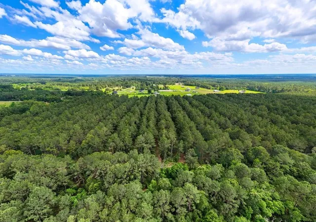 Homes for sale in Kirbyville, TX | Tbd Private Road 5170, Kirbyville, TX 75956 | MLS# 96739843