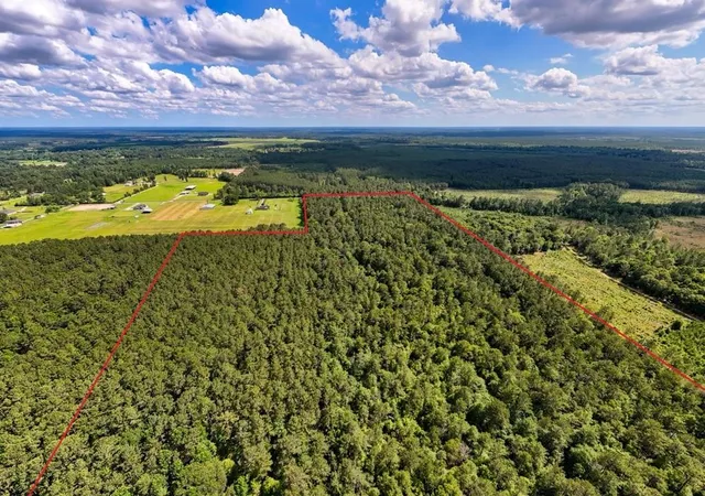 Homes for sale in Kirbyville, TX | Tbd Private Road 5170, Kirbyville, TX 75956 | MLS# 96739843