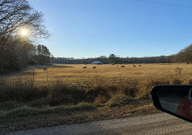 22nd image of 15410 Cr 354, Winona, TX 75792 | MLS# 11500236