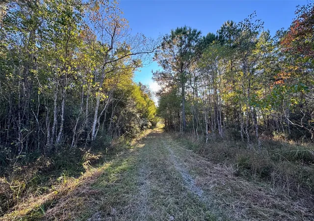 34th image of 1130 County Road 2300, Cleveland, TX 77327 | MLS# 78156335