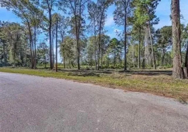 Photo 3 of Land for sale at 10171 Ehlers Rd, Conroe, TX 77302 | MLS# 8094173 | Listing updated on 2026-07-17