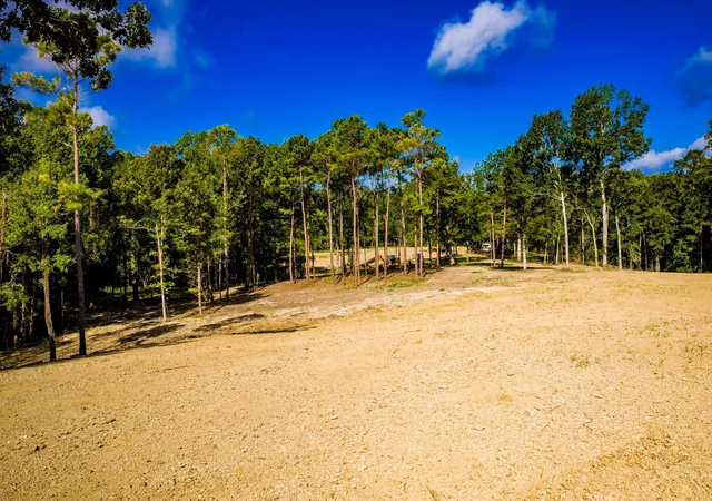 Photo 3 of Land for sale at 9349 US 190 W, Livingston, TX 77351 | MLS# 74347301 | Listing updated on 2026-08-06