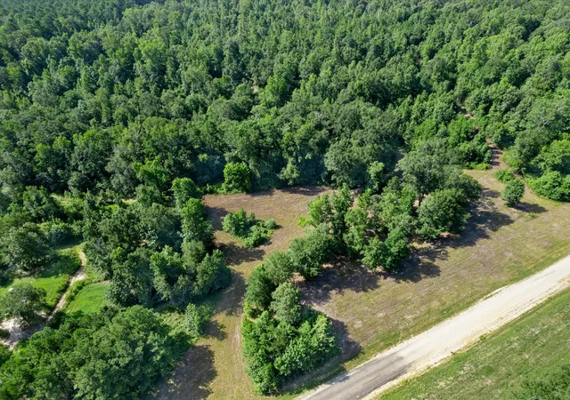 2nd image of Tbd Felix Currie Rd, Point Blank, TX 77364 | MLS# 59744483
