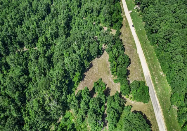 3rd image of Tbd Felix Currie Rd, Point Blank, TX 77364 | MLS# 59744483