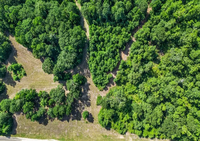 46th image of Tbd Felix Currie Rd, Point Blank, TX 77364 | MLS# 59744483