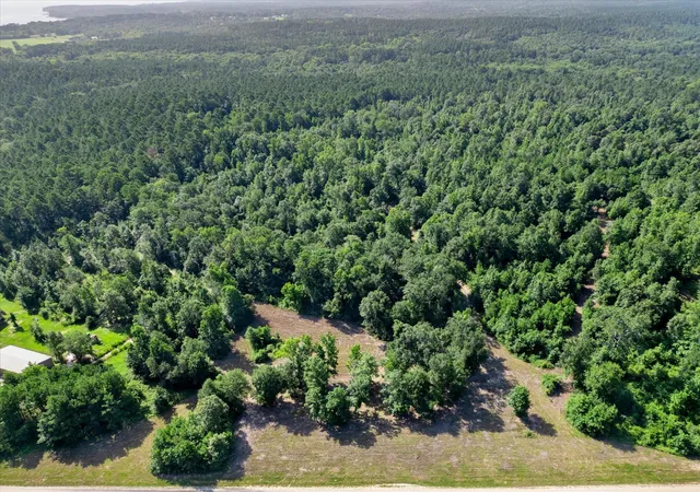 4th image of Tbd Felix Currie Rd, Point Blank, TX 77364 | MLS# 59744483