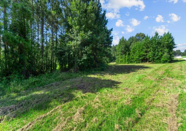 5th image of Tbd Felix Currie Rd, Point Blank, TX 77364 | MLS# 59744483