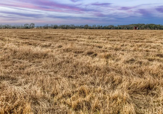 1st image of Tbd County Road 318, Caldwell, TX 77836 | MLS# 41280600