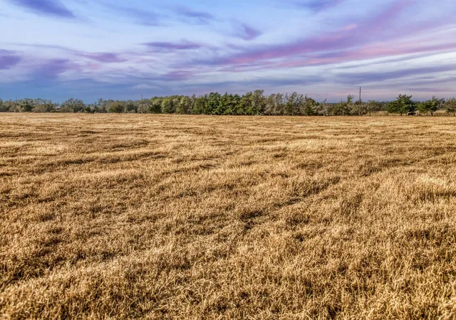 3rd image of Tbd County Road 318, Caldwell, TX 77836 | MLS# 41280600