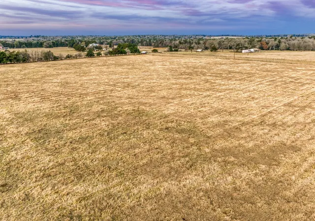 5th image of Tbd County Road 318, Caldwell, TX 77836 | MLS# 41280600