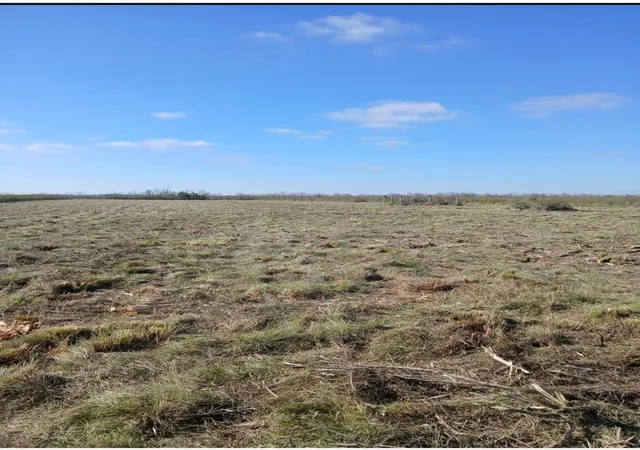 Photo 1 of Land for sale at 807 County Rd, Angleton, TX 77515 | MLS# 12969080 | Listing updated on 2026-02-16