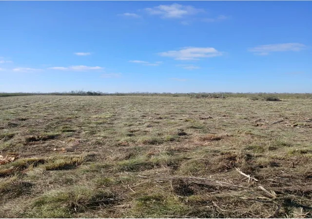Photo 3 of Land for sale at 807 County Rd, Angleton, TX 77515 | MLS# 12969080 | Listing updated on 2026-02-16