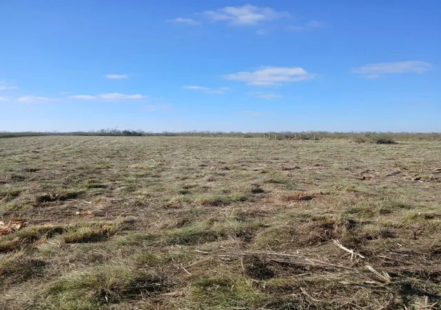 Photo 3 of Land for sale at 807 County Rd, Angleton, TX 77515 | MLS# 12969080 | Listing updated on 2026-02-16